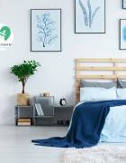 COSA VEDERE A LUCCA IN UN GIORNO