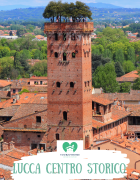 COME SONO DIVENTATA HOST SENZA PIANIFICARLO