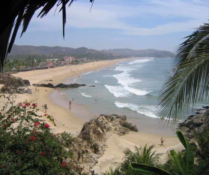 COME SONO DIVENTATA HOST SENZA PIANIFICARLO